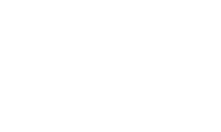 Logo Vonzipper