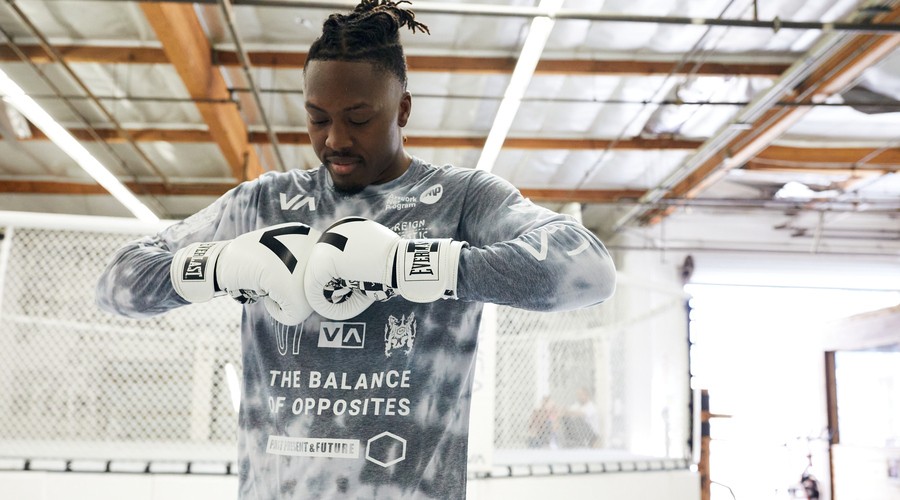 mma or boxing gloves